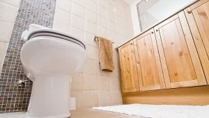 Sprytna pułapka pomoże pozbyć się rybików cukrowych zarówno z kuchni, jak i łazienki.