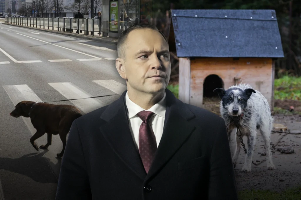 Mężczyzna w garniturze na pierwszym planie, za nim bezdomny pies na łańcuchu obok budy oraz drugi pies przechodzący przez pustą ulicę; w tle widoczny fragment miasta oraz przystanek autobusowy.