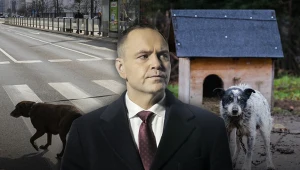 Ustawa łańcuchowa, czyli psy z miasta kontra psy ze wsi