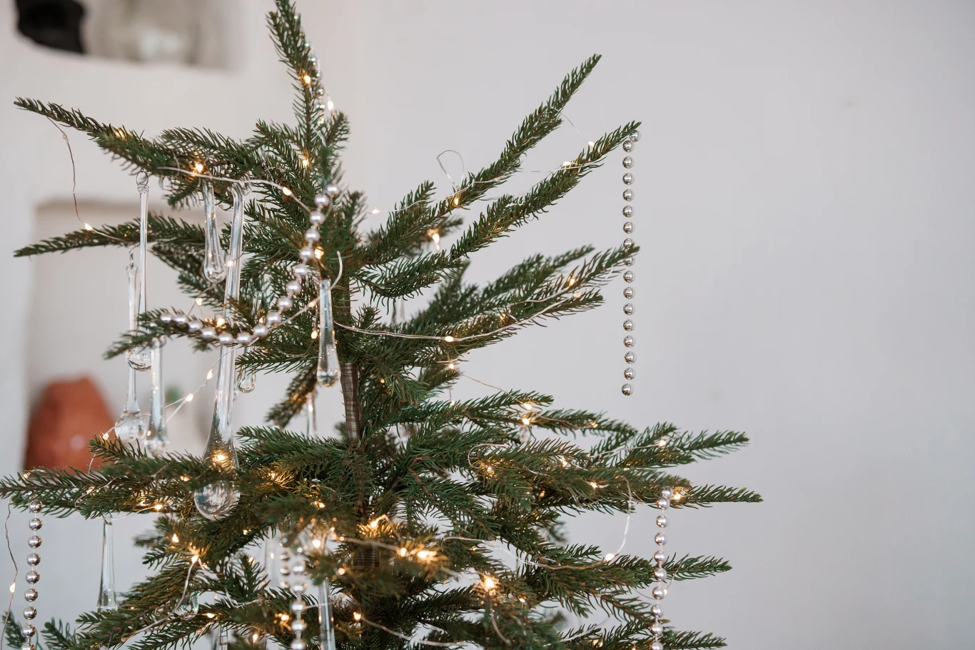 "Ozempikowa" choinka robi furorę w 2025 roku. "Ozempikowa" choinka robi furorę w 2025 roku.