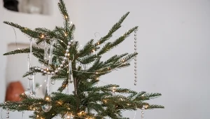 To najmodniejsza choinka tego roku. Nie wszystkim się spodoba