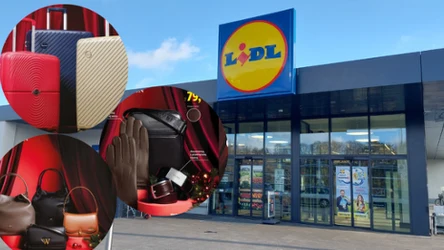 Nareszcie! Od jutra w Lidlu – i to w zaskakująco niskiej cenie!