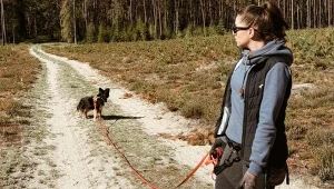 Tanie akcesoria na spacer z psem? Budowlany i sportowy sklep ratują budżet