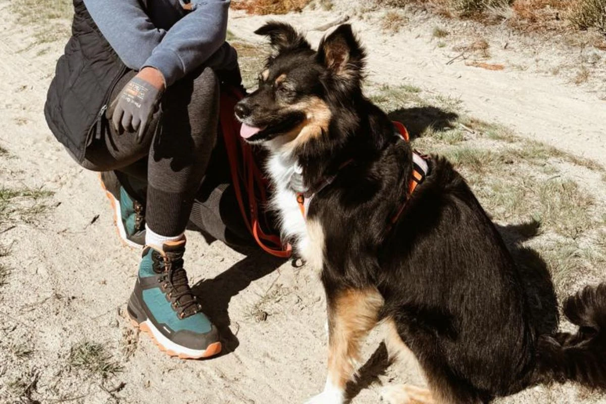Czarny, średniej wielkości pies siedzi na piaszczystej ścieżce obok osoby ubranej w sportowe buty, legginsy i kurtkę, trzymającej smycz. Tło stanowi naturalny krajobraz z trawą i suchymi roślinami.