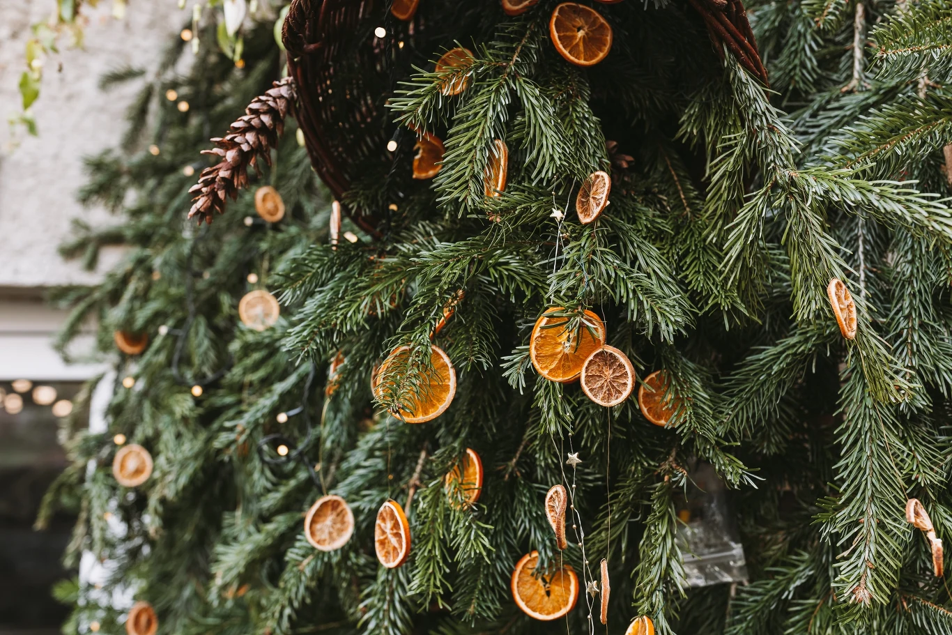 Naturalna ozdoba, którą zrobisz samodzielnie w domu. Jest łatwa i niedroga w wykonaniu