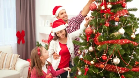 Jaka choinka na święta 2025 - świerk, sosna czy sztuczna? Przegląd promocji