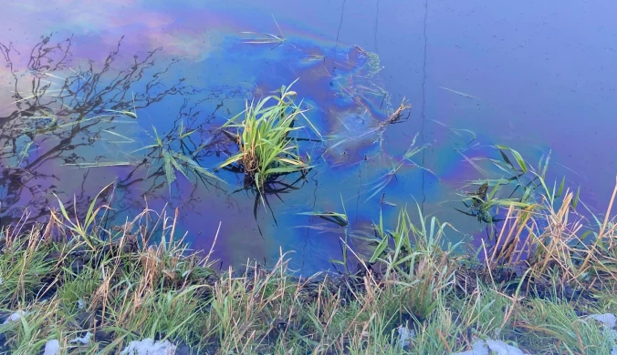 Przy autostradzie A2 ktoś zanieczyścił wodę