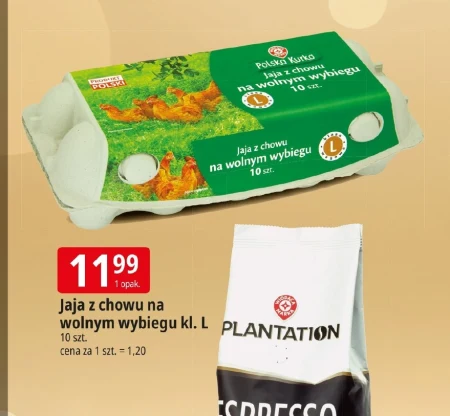 Jaja Polska Kurka