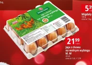 Jaja Polska Kurka