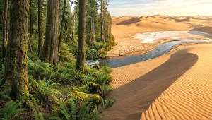 Zmienili gigantyczną pustynię w zielony raj. Projekt stulecia zadziwia