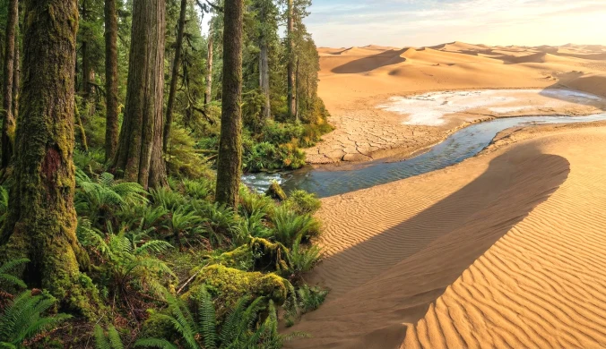 Zmienili gigantyczną pustynię w zielony raj. Projekt stulecia zadziwia