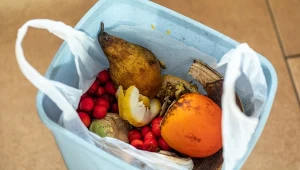 Wyrzucasz wszystkie resztki z obiadu do zmieszanych? To błąd!