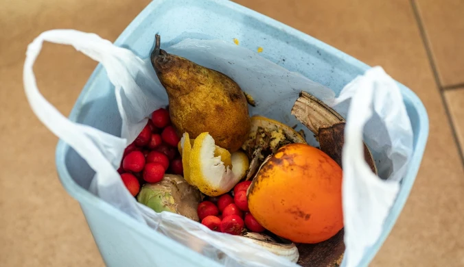 Co robisz z tym, co zostało na talerzu po obiedzie – obierkami, niedojedzonymi ziemniakami czy kością z kotleta? 