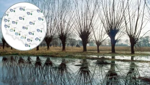 Nagły zwrot pogody w najbliższe dni. Temperatura nagle wystrzeli