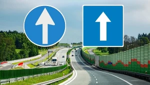 Wyglądają niemal identycznie, znaczą zupełnie co innego. Znaki D-3 i C-5