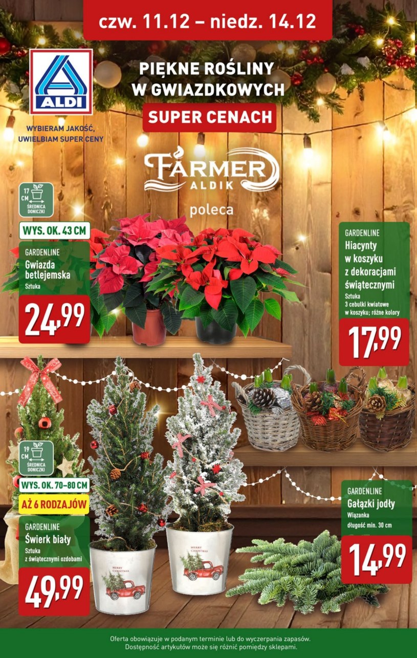 Gazetka: Święta w super cenach! - Aldi - strona 38