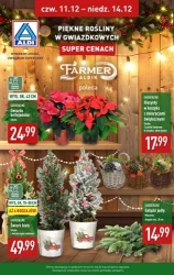 Різдво за чудовими цінами! - Aldi