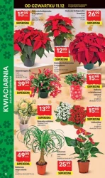 Świąteczne hity dla każdego - Delikatesy Centrum