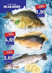 Передріздвяні хіти - Hildebrandt