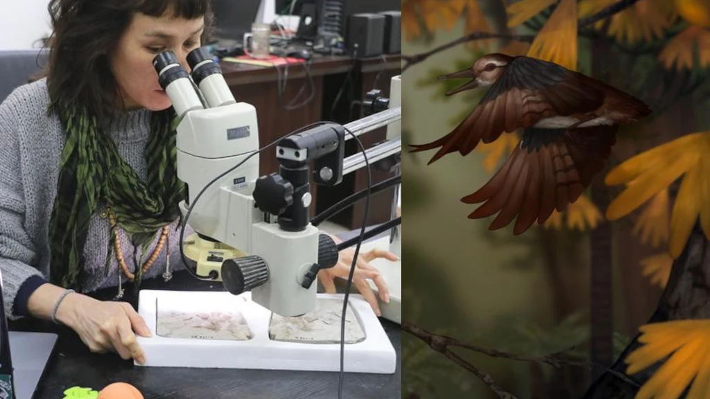 Kobieta obserwująca próbki pod mikroskopem w laboratorium, po prawej stronie ilustracja ptaka w locie na tle żółtych liści.