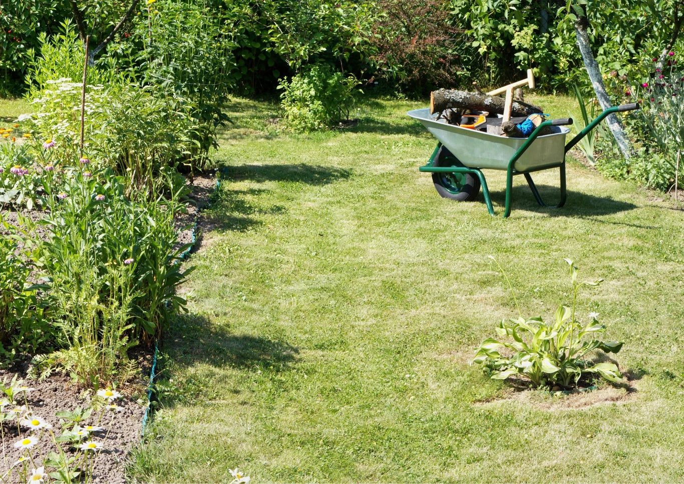 Nawet mały ogród może stać się prawdziwą oazą. Fot. vilax/123RF.com