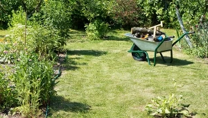 Nawet mały ogród może stać się prawdziwą oazą. Fot. vilax/123RF.com