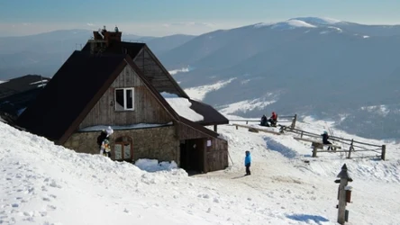 Chatka Puchatka jest najwyżej położonym schroniskiem w Bieszczadach