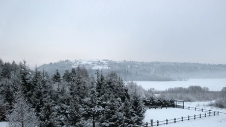 Uzdrowisko, które zachwyca zimową porą. Seniorzy chętnie tutaj przyjeżdżają