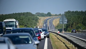 Ważą się losy zakazu aut spalinowych. UE zmienia kurs, padła nowa data