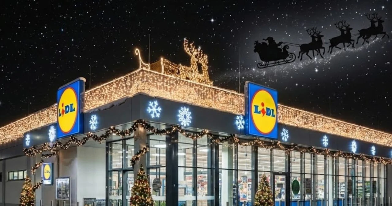 Gdzie poczuć klimat świąt? Wyjątkowa metamorfoza Lidla w stolicy