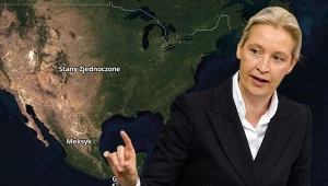 Tajny plan niemieckiej AfD względem Trumpa. Media opisują kulisy 