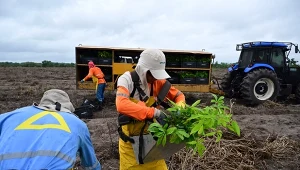 Trwa walka o ostateczny kształt umowy z Mercosur. "Nie składamy broni"