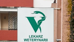 Złe wiadomości dla właścicieli zwierząt. Będą musieli zapłacić więcej