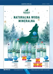 Grudniowe hity cenowe - Specjał