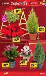 Świętna loteria - POLOmarket