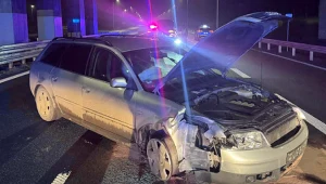 Uciekał kilkadziesiąt kilometrów i szponcił na drodze. "Chciał się pobawić"