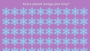Jak ma się twoja koncentracja w tym świątecznym szaleństwie? Rozwiąż test