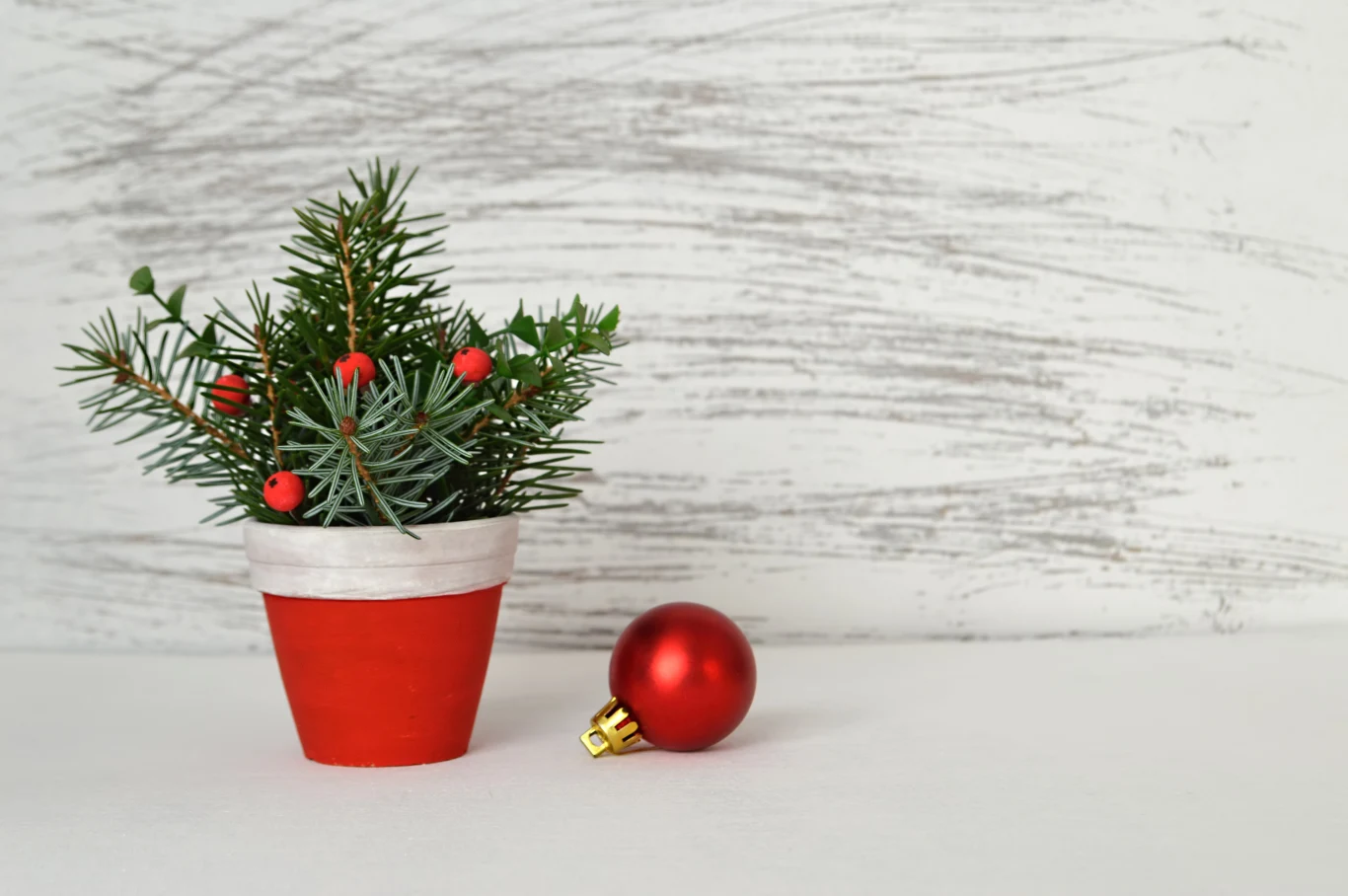 Coraz więcej osób wybiera rośliny doniczkowe i stroiki, zamiast co roku inwestować w klasyczną choinkę. 