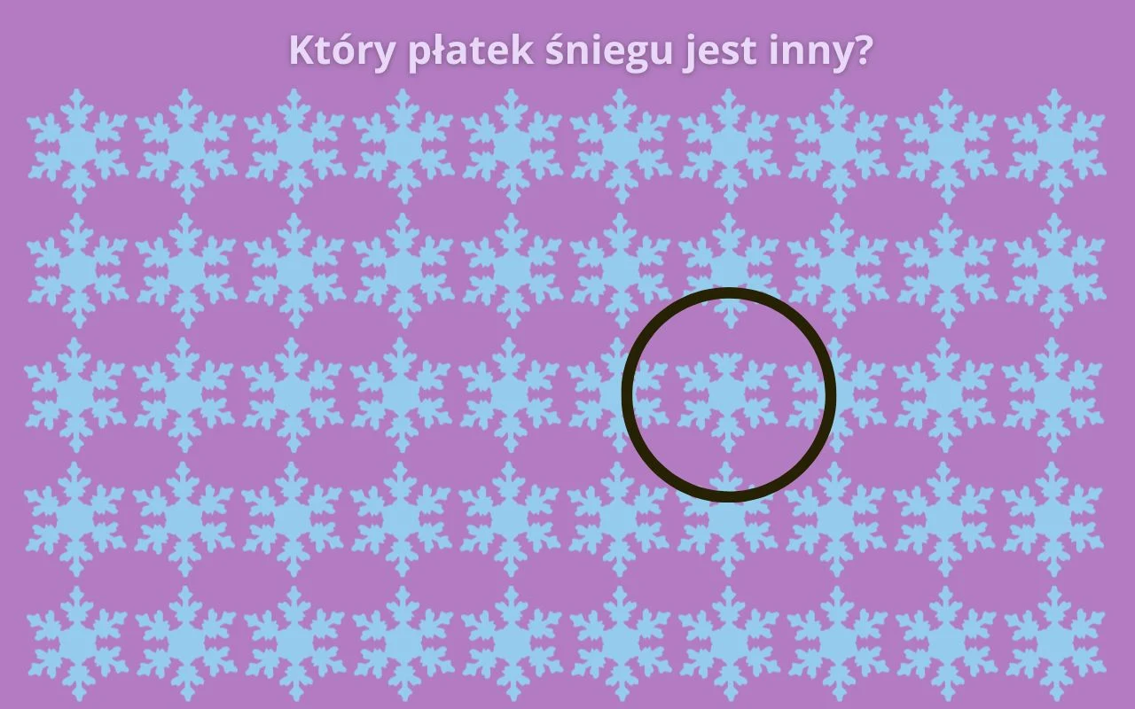 Rząd równomiernie rozmieszczonych niebieskich płatków śniegu na fioletowym tle, jeden z nich został wyróżniony czarnym okręgiem. Na górze znajduje się pytanie: 'Który płatek śniegu jest inny?'.