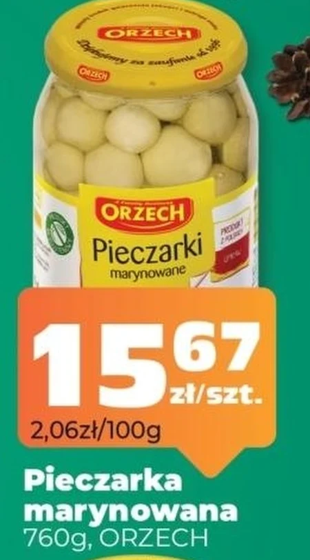 Pieczarka marynowana Orzech