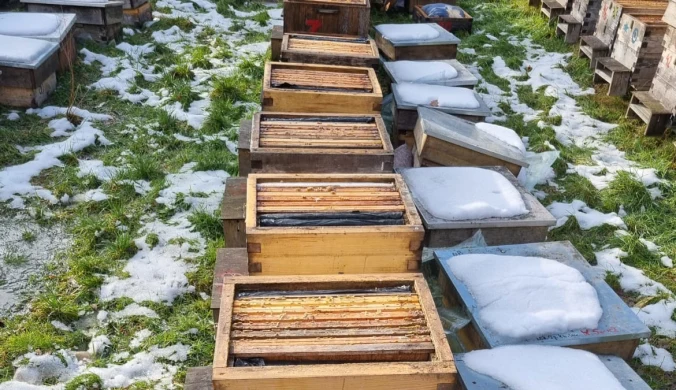 Ktoś zniszczył 37 uli w woj. dolnośląskim