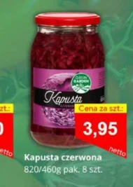 Kapusta czerwona