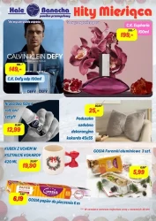 Hala przemysłowa - Hala Banacha