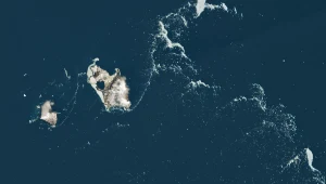 1600 km od najbliższego kontynentu. Pierwsze takie zdjęcie