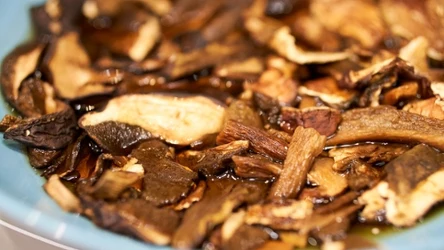 W jakiej wodzie moczyć grzyby?