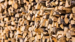 Ceny drewna w grudniu 2025. Ile trzeba zapłacić za opał?