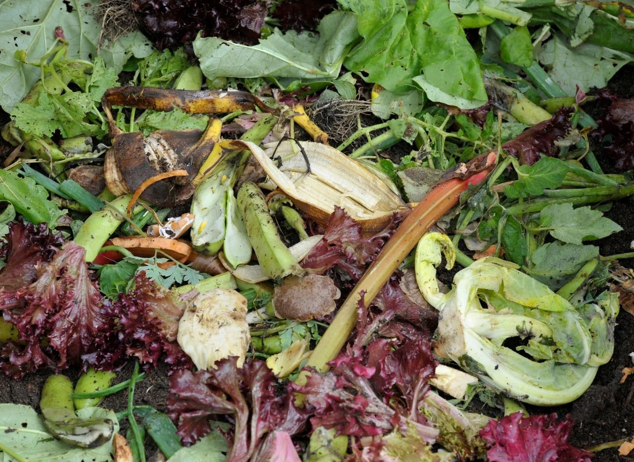 Wyrzucając nowe odpadki, szczególnie owoce czy resztki warzyw, warto przykryć je od razu warstwą trocin lub ziemi. Fot. grazza23.