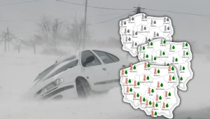 Coraz więcej wiemy o zimie. Początek roku może zaskoczyć