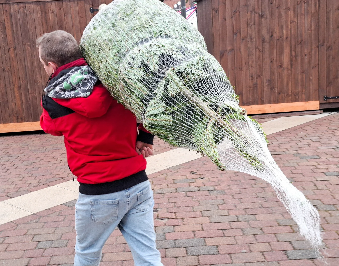 Od 12 grudnia Polacy mają szansę wypożyczyć żywą choinkę. Korzyści jest cała masa Mężczyzna w czerwonej kurtce niesie na ramieniu dużą choinkę owiniętą siatką, stoi na brukowanym placu na tle drewnianych budek.