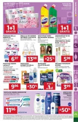 Gorące oferty na chłodne dni - Stokrotka